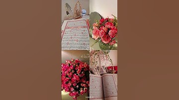 🌺اللهم اجعل القرآن الكريم ربيع قلوبنا 🌺