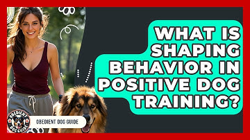 What Is Shaping Behavior In Positive Dog Training? - Obedient Dog Guide