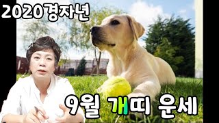 2020경자년 개띠 9월운세입니다