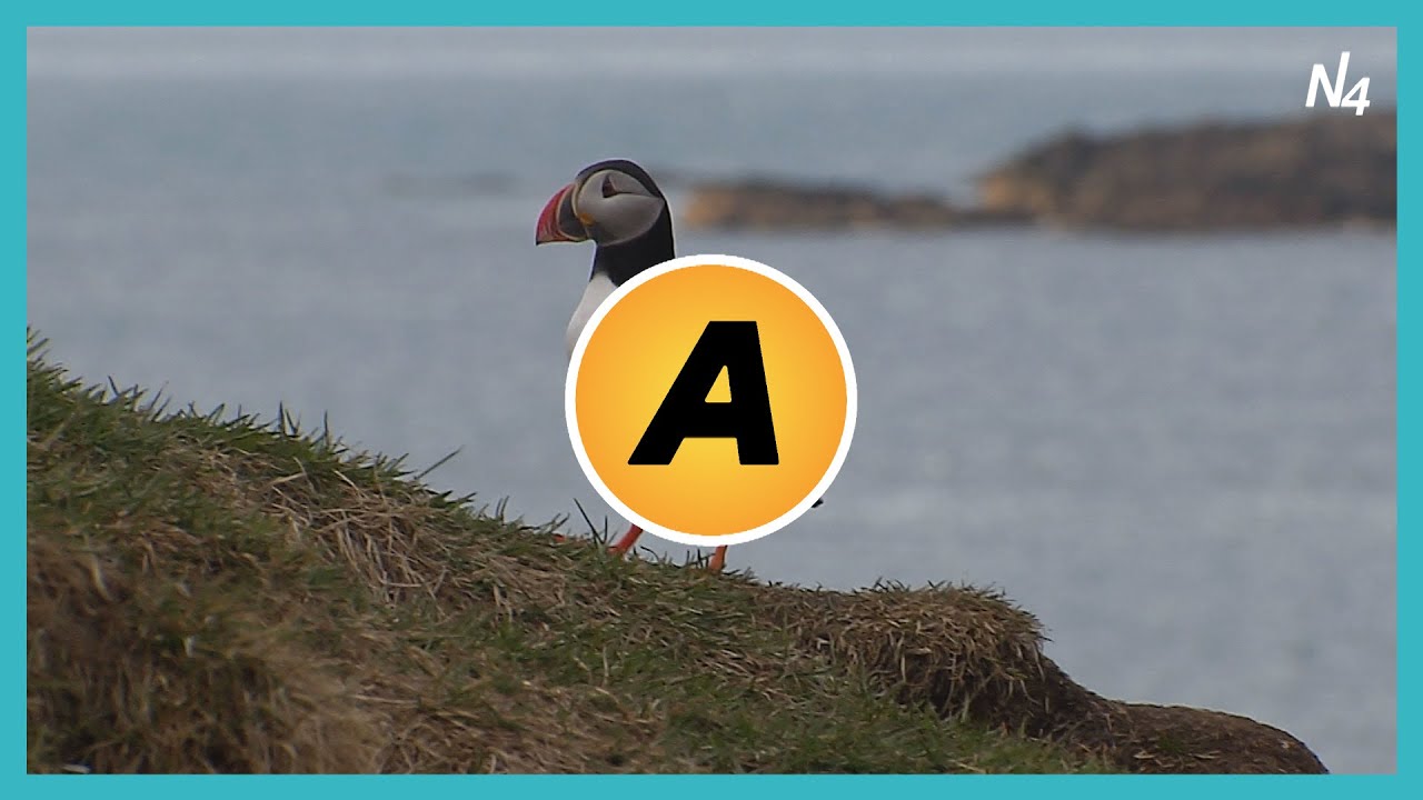 Vorboðinn er kominn