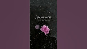 و الله يدعو إلى دار السلام و يهدي من يشاء إلى صراط مستقيم || القارئ: أحمد النفيس