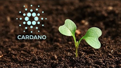 Top 3 most environmental friendly cryptocurrencies!