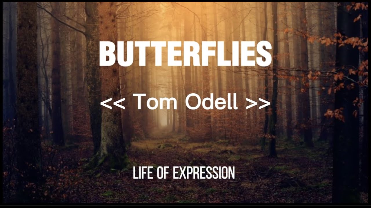 Tom Odell feat. Aurora Butterflies Official Video (Lyrics) YouTube
