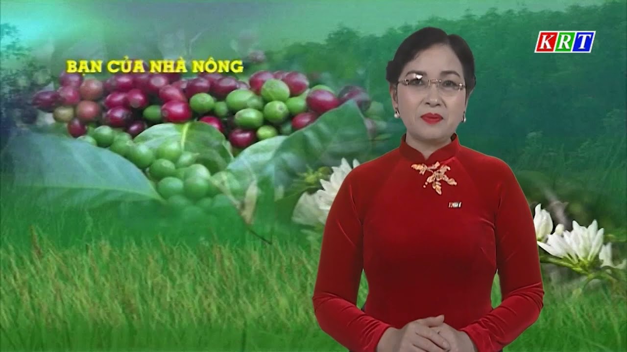 Hướng dẫn kỹ thuật đối với mô hình cà phê “lười”