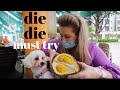 Will my dog try DURIAN? | It's DURIAN SEASON! 2021