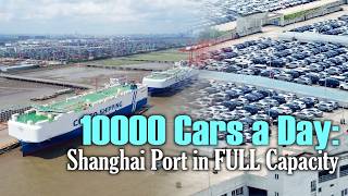 Catching up on delays! Shanghai Port operations surge past 10,000 vehicles in single day