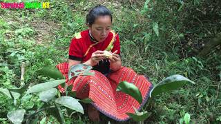 Primitive life - Ethnic girl looking for natural fruits and meet forest people eating delicious