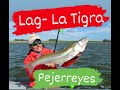 Pejerreyes de "LA TIGRA" Tres Arroyos .