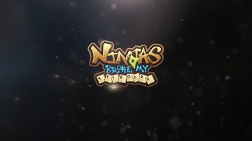 Ninja broke my Keyboard - Part 1