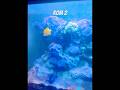2 Royal Ontario Museum (ROM) Toronto Canada #shorts