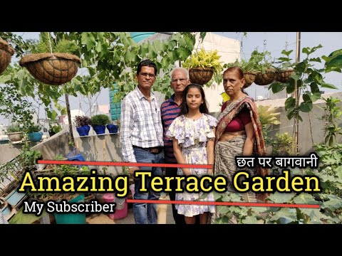 amazing-terrace-indian-gardening-|-छत-पर-बागवानी-|-vegetable-gardening