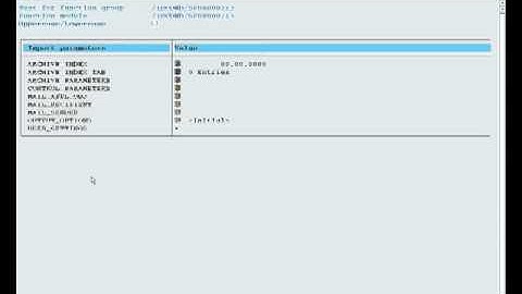 Smartforms using Page protection(Smart forms)