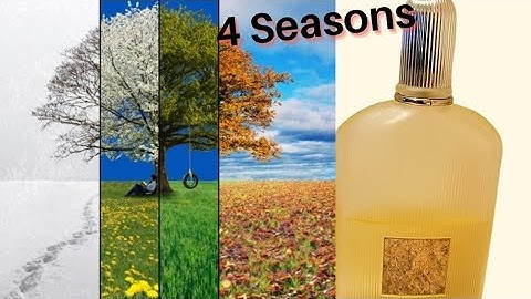 Exploring the Elegance of Tom Ford Grey Vetiver