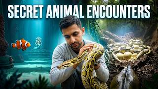 Secret Lives of Animals REVEALED! (POV Cameras) 😱🐾#shorts