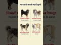 भारत के सबसे महंगे कुत्ते / most expensive dogs of india #shorts #gk #viral