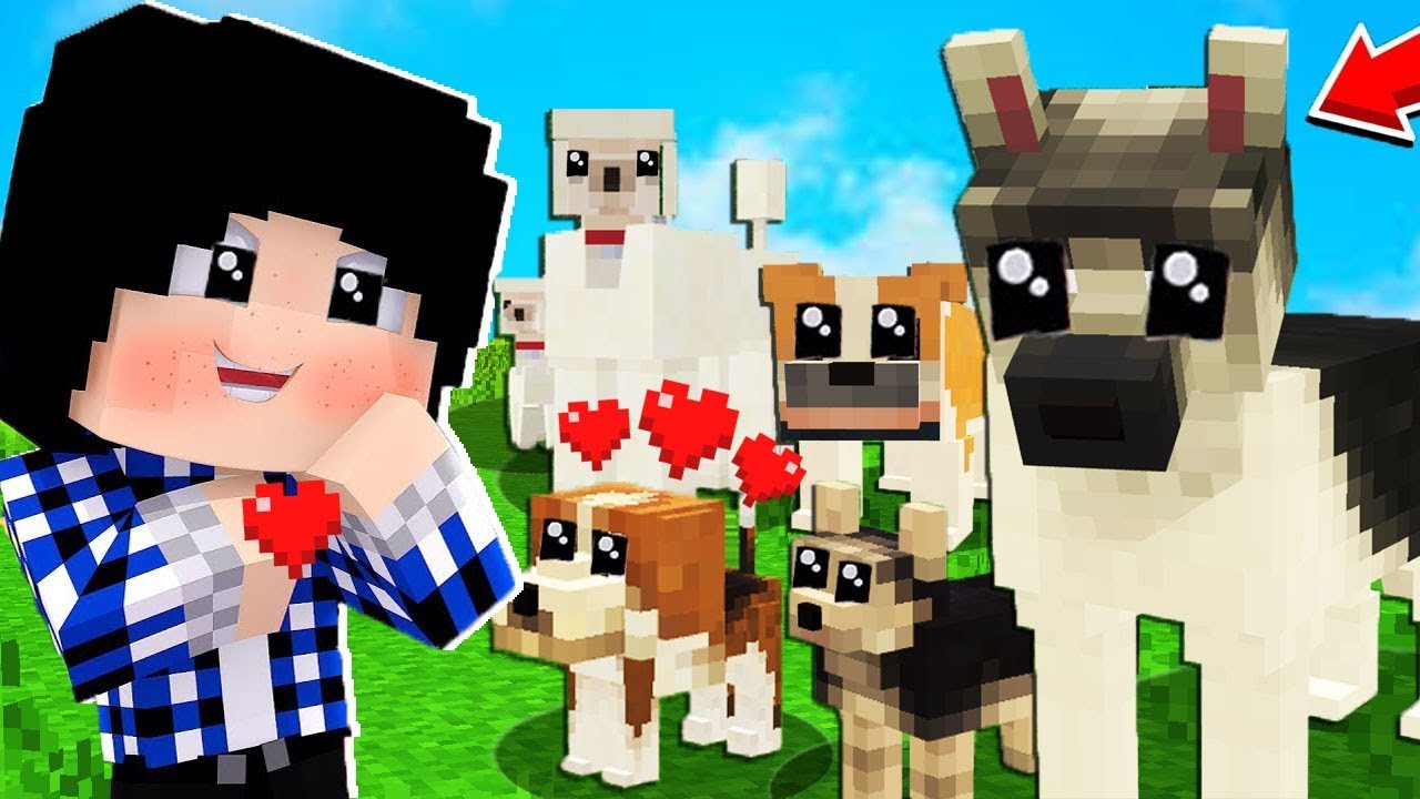J'ADOPTE UN CHIEN DANS MINECRAFT ! YouTube