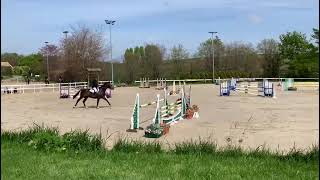 Ad ref 291673   Video 1