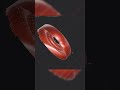 Blender 26 enhanced 3d rim model  on sale #3dmodeling