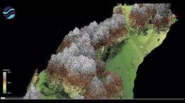 Point cloud 3D model of small stream & vegetation