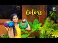 " My Lovely Colors " | Nami's Life | Pottery painting | Traditional life in Wetland