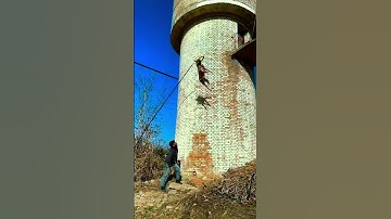 "Live Flight, Real Skills: The Heartbeat of a Champion 🐶💥"#trending #viralvideo #youtube #funny#bgmi