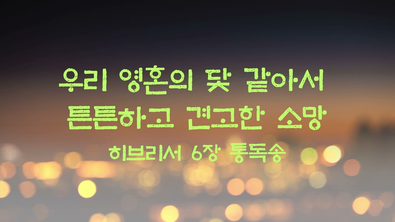 [히브리서 6장 통독송] 우리 영혼의 닻 같아서 튼튼하고 견고한 소망 | 개역한글 성경 전문 (Gospel)