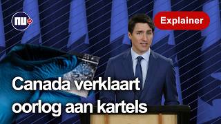 Waarom Gaat Canada Zo De Strijd Aan Tegen Fentanyl?