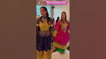 Afghan Music Videos New And Traditional Songs From Famous Afgh Artists 