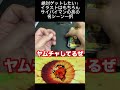 ドラゴンボールフュージョンワールド開封したらとんでもないカード出てきた