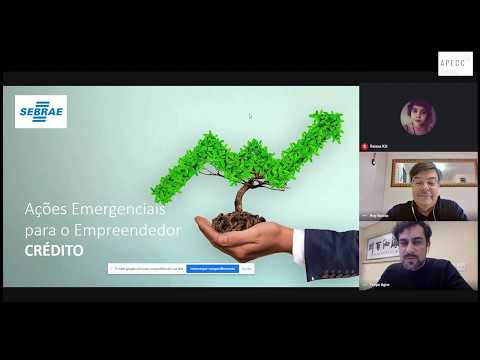 “Linhas de crédito para enfrentar a crise” - Webinar com Ruy Soares de Barros