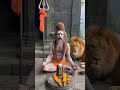 Har Har Mahadev 🔱🙏