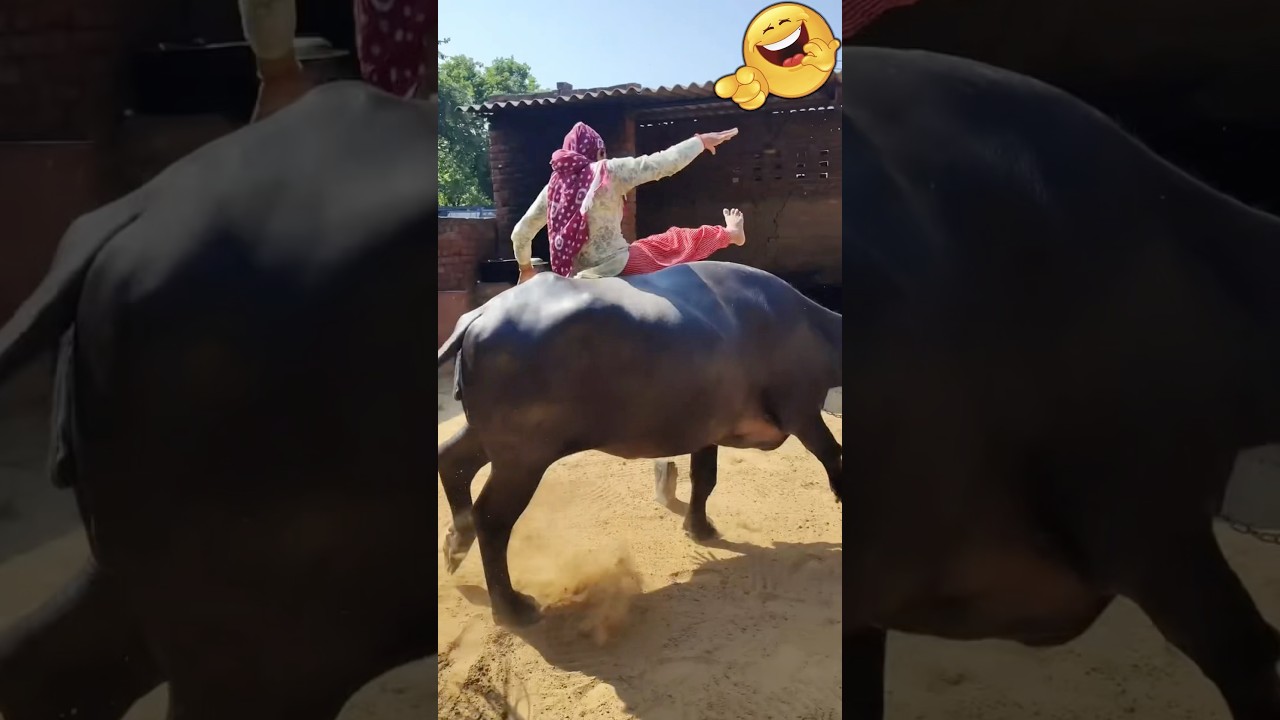 Too Funny to Miss! Top Viral Fails of 2025 