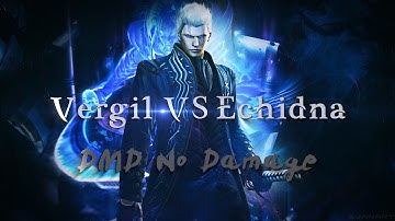 DMC4SE Vergil VS Echidna DMD No Damage
