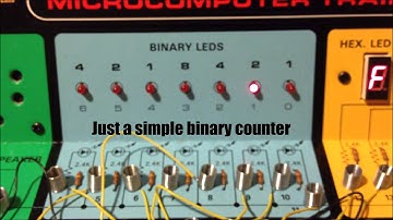 Binary Counter with the Radio Shack Microcomputer Trainer
