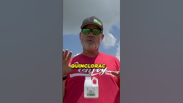 How To ID and Get Rid of CRABGRASS in Late Summer #lawns #lawncare #crabgrass