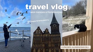 TRAVEL VLOG: как я съездила в Калининград | Балтийское море🌊 | Влог с поездки