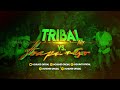 Tribal vs huapango  2023 mix   chunti oficial latinsoundsmusic