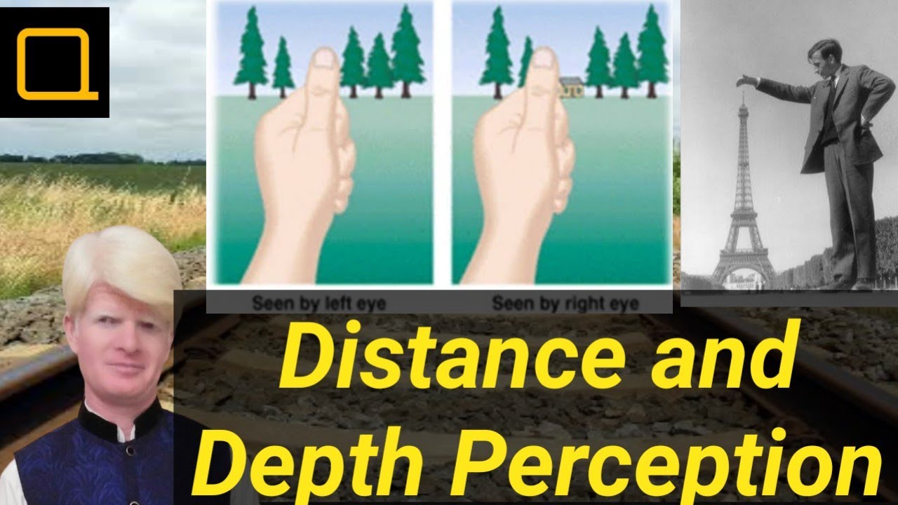 Distance and Depth Perception, Urdu/Hindi YouTube