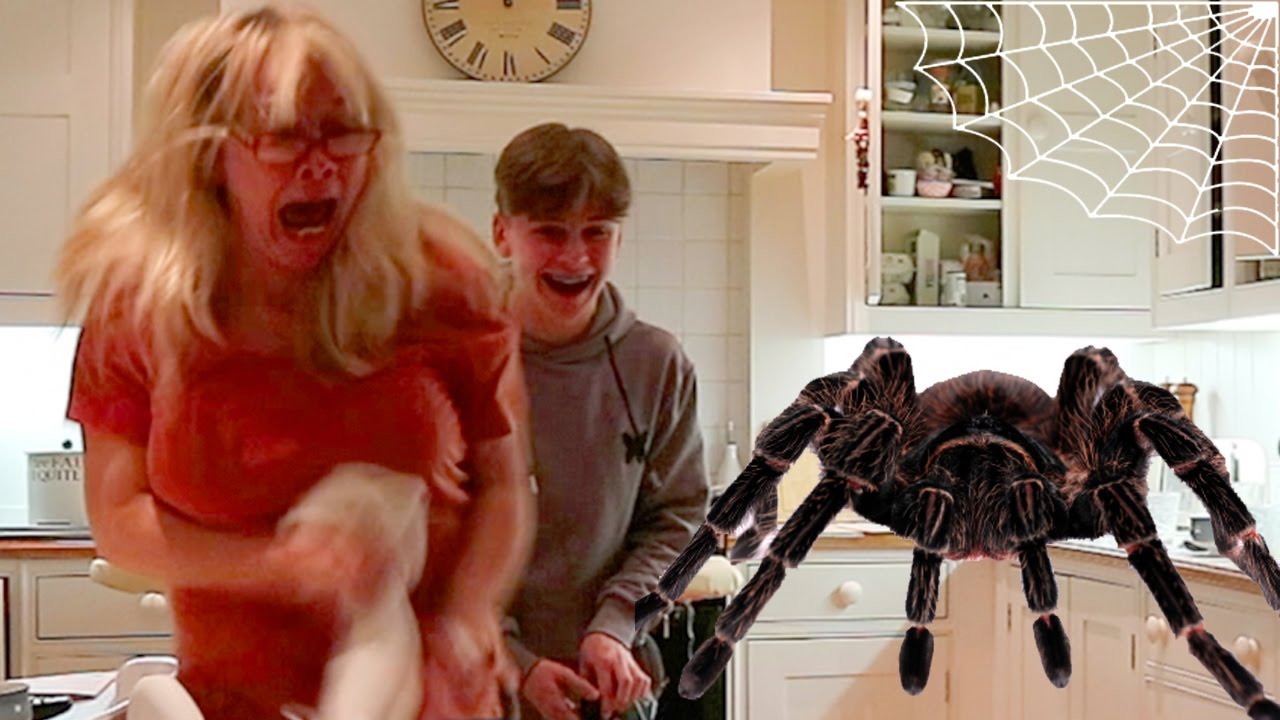 CRAZY SPIDER PRANK ON MY MUM!