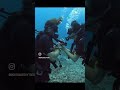 Scuba Diving Underwater Proposal - Part 2: More Confusion + Aha!