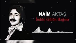 Naim Aktaş - İndim Gülün Bağına Resimi