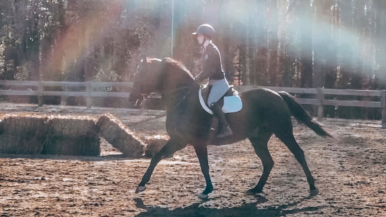 no stirrup riding lesson!!! vlogmas day 9 Eleese S YouTube