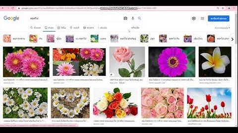 Computing Science วิชาวิทยาการคำนวณ 🔸การใช้อินเทอร์เน็ต