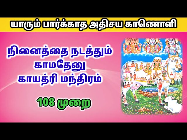 🔥நினைத்ததை நடத்தும் #காமதேனு காயத்ரி மந்திரம் 108 முறை #kamadenutamil #kamadhenu #கோமாதா🙏 class=