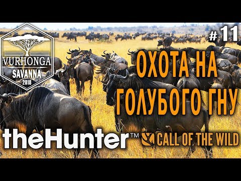 theHunter Call of the Wild #11 🔫 - Охота на Голубого Гну - Винтовка - Антилопа Гну