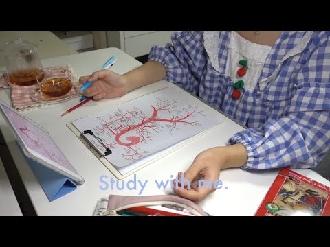 [Study with me] 흉부외과 과제 같이 해요🎨 (<strong>Real</strong> time/No <strong>music</strong>)