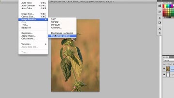 How to Flip a JPEG : Sharpen Your Computer Skills