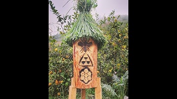 9,000 YEAR OLD Log Hive. swarm entering log hive.