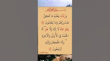 القرآن الكريم سورة القصص