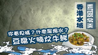【漁人推介】香港水域 老漁民說的焗水是什麼? 阿火和大家一起出海研究一下。和大家一起製作大叔的浪漫 豆腐火腩炆牛鰍|海鮮|食譜|Catch And Cook Seafood Crab 【漁人推介】香港水域 老漁民說的焗水是什麼? 阿火和大家一起出海研究一下。和大家一起製作大叔的浪漫 豆腐火腩炆牛鰍|海鮮|食譜|Catch And Cook Seafood Crab